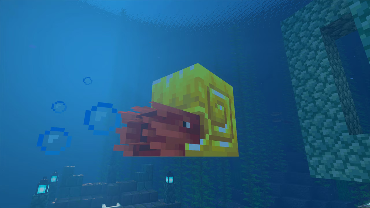 Nautilus with gold armor