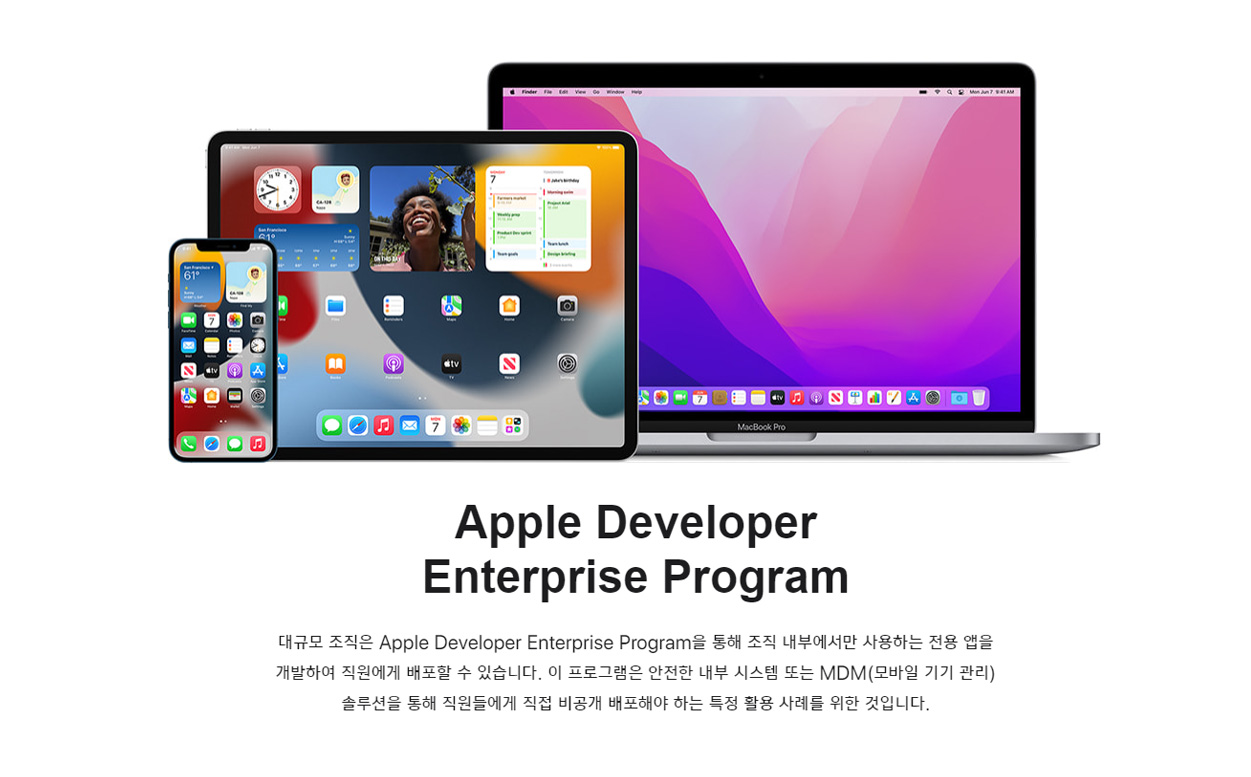 Apple Developer Enterprise Program (ADEP)