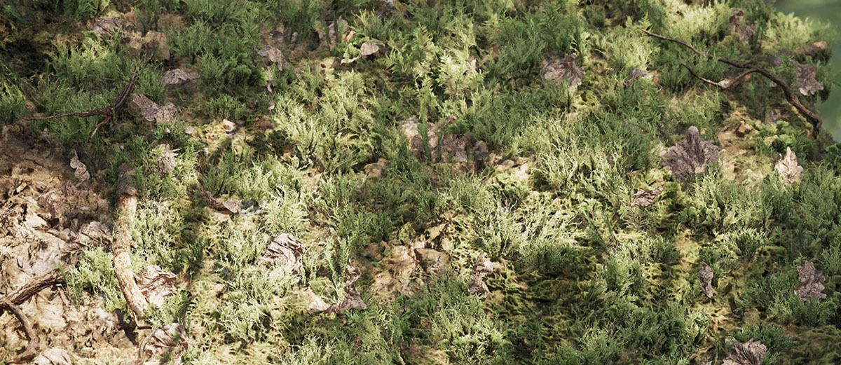 UE 5.6 Procedural Content Generation (PCG)