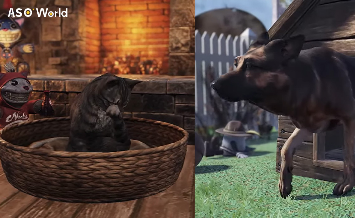 Fallout76 Кошка и Собака