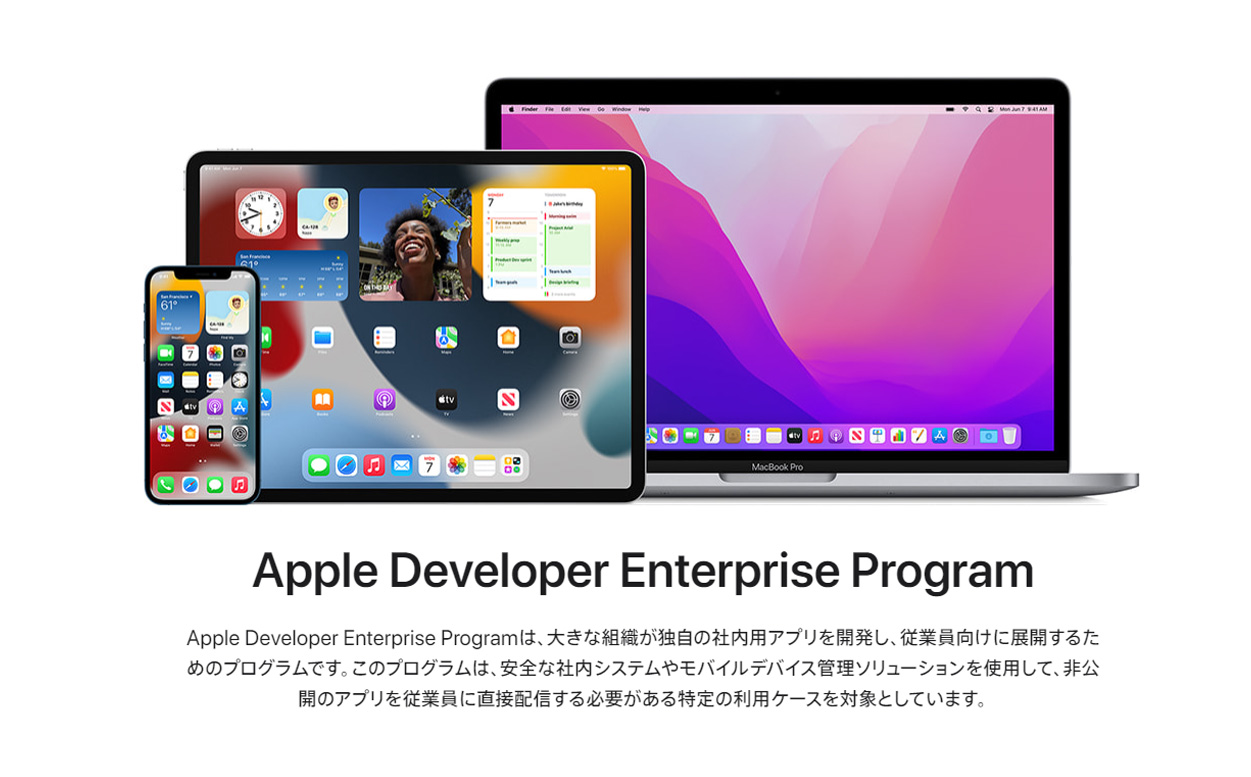 Apple Developer Enterprise Program (ADEP)